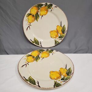 Set of 2 - Pier 1 Import Avalon Dinner Plates Lemon Pattern Discontinued Design